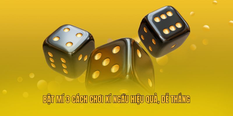 Bật mí 3 cách chơi Xí ngầu hiệu quả, dễ thắng
