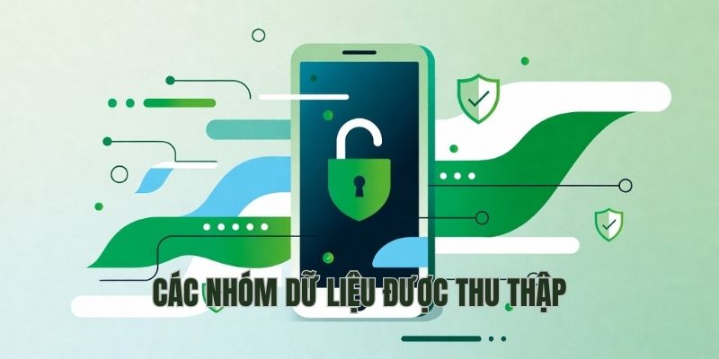 Các nhóm dữ liệu được thu thập